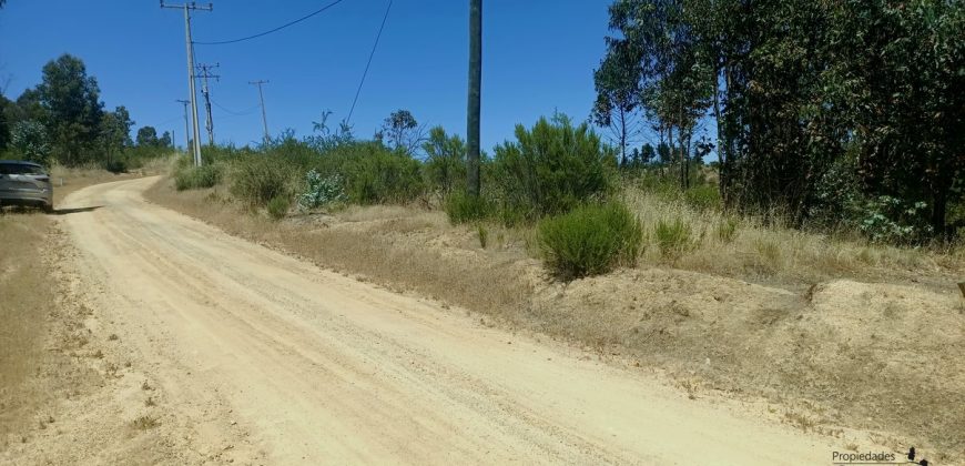 Parcela con vista al valle.