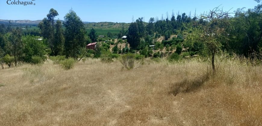 Parcela con vista al valle.