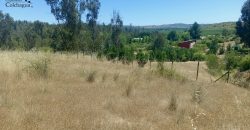 Parcela con vista al valle.