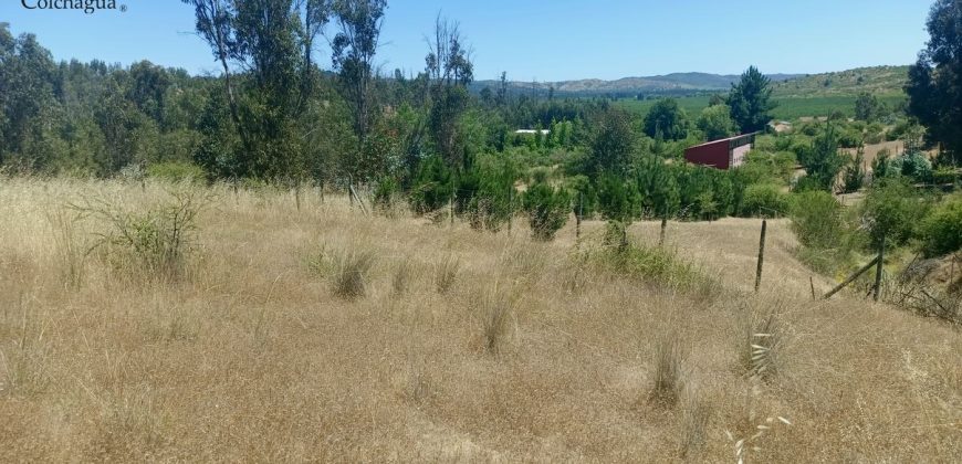 Parcela con vista al valle.