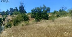 Parcela con vista al valle.