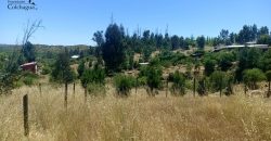 Parcela con vista al valle.