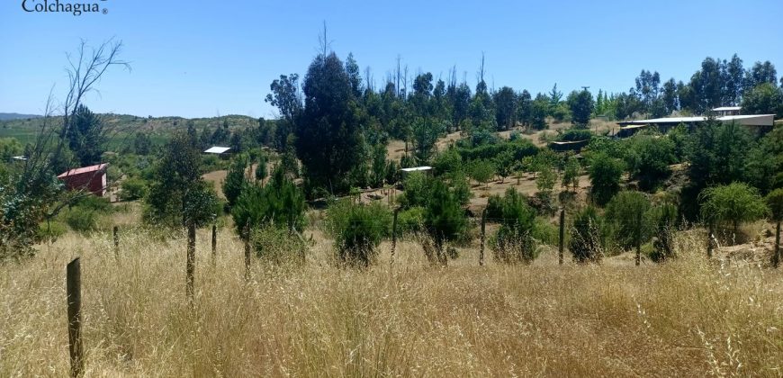 Parcela con vista al valle.