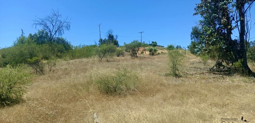 Parcela con vista al valle.