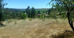 Parcela con vista al valle.