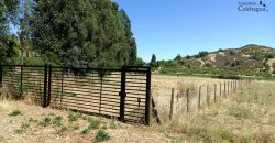 Parcela con pozo y árboles.