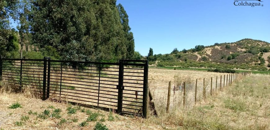 Parcela con pozo y árboles.
