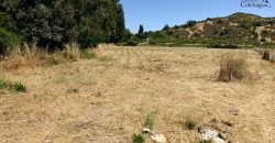 Parcela con pozo y árboles.