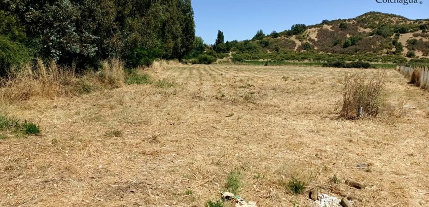 Parcela con pozo y árboles.