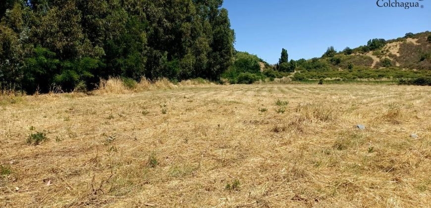 Parcela con pozo y árboles.