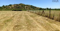 Parcela con pozo y árboles.