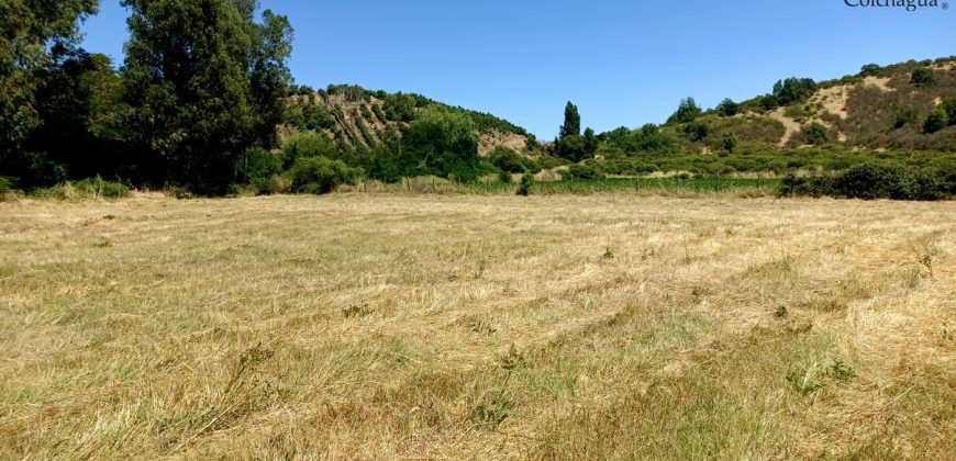 Parcela con pozo y árboles.