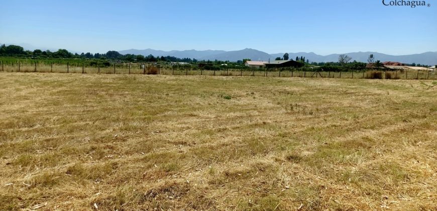 Parcela con pozo y árboles.