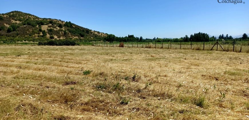 Parcela con pozo y árboles.