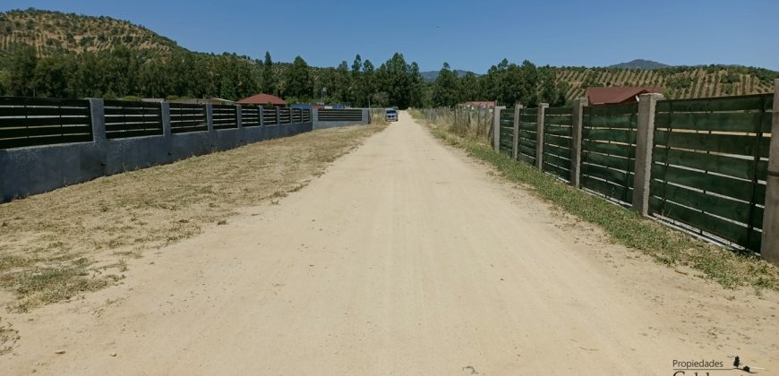 Parcela con pozo y árboles.