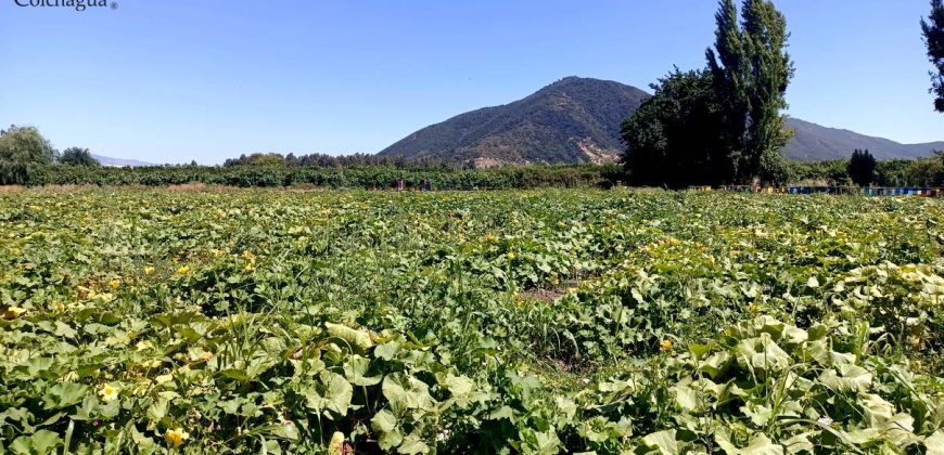 Parcela en Cunaquito.