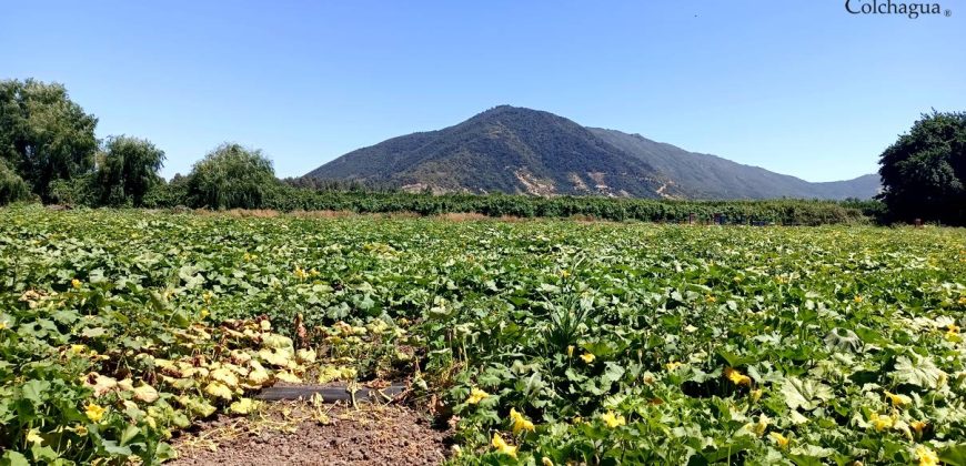 Parcela en Cunaquito.