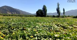 Parcela en Cunaquito.