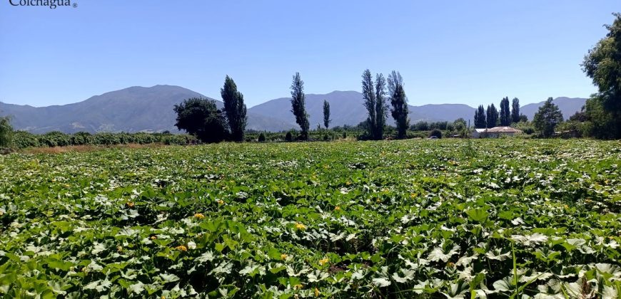 Parcela en Cunaquito.