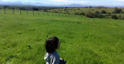 Vendo 2 parcelas con luz.