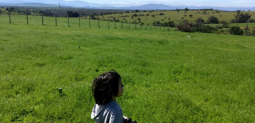 Vendo 2 parcelas con luz.