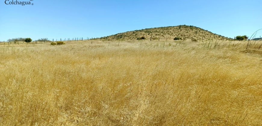 Vendo 2 parcelas con luz.