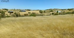 Vendo 2 parcelas con luz.