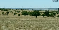 Vendo 2 parcelas con luz.