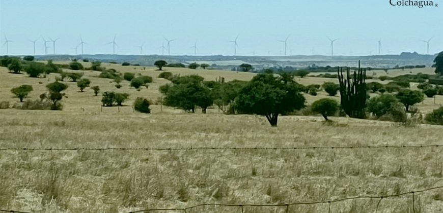 Vendo 2 parcelas con luz.