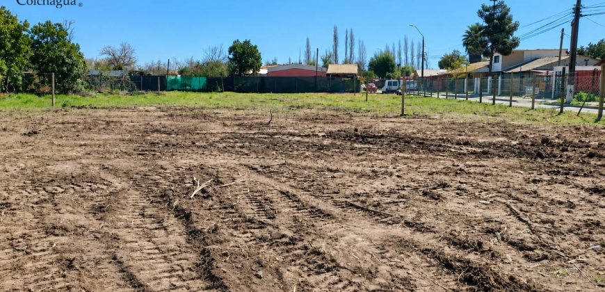 Sitios urbanos.