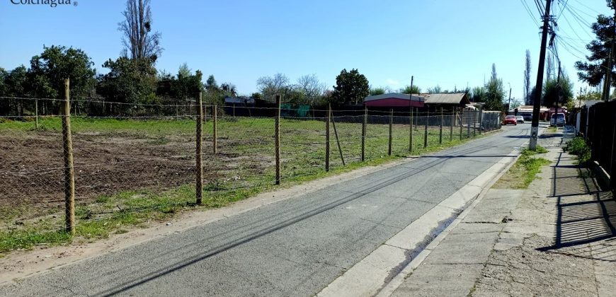 Sitios urbanos.