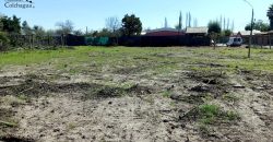 Sitios urbanos.